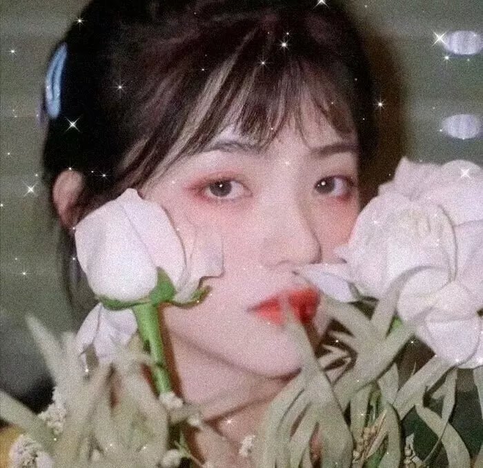 好人、巴特与洛基 在线观看